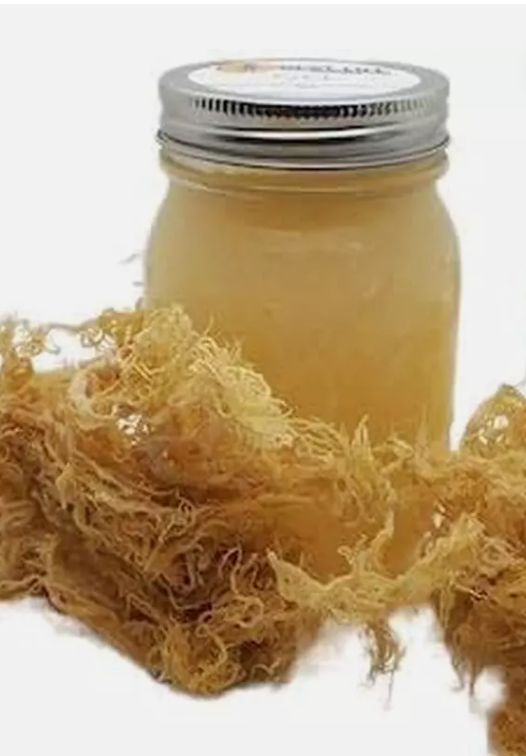 P Moss (Sea Moss)
