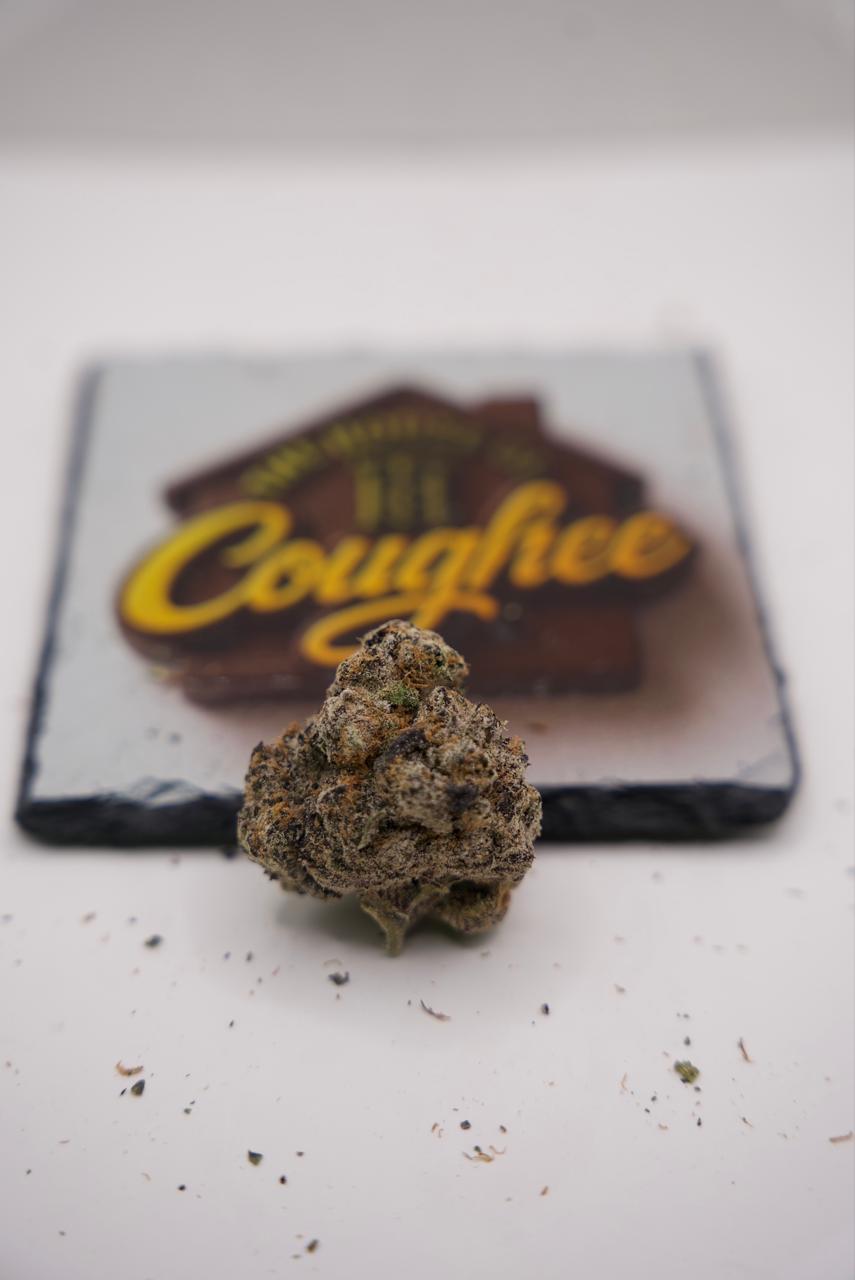 Cereal Milk real product photo 1 | The House of Coughee