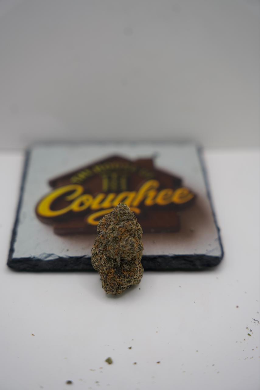 Cherry Gumball real product photo 1 | The House of Coughee