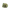 ExpressOG product photo 1 | The House of Coughee