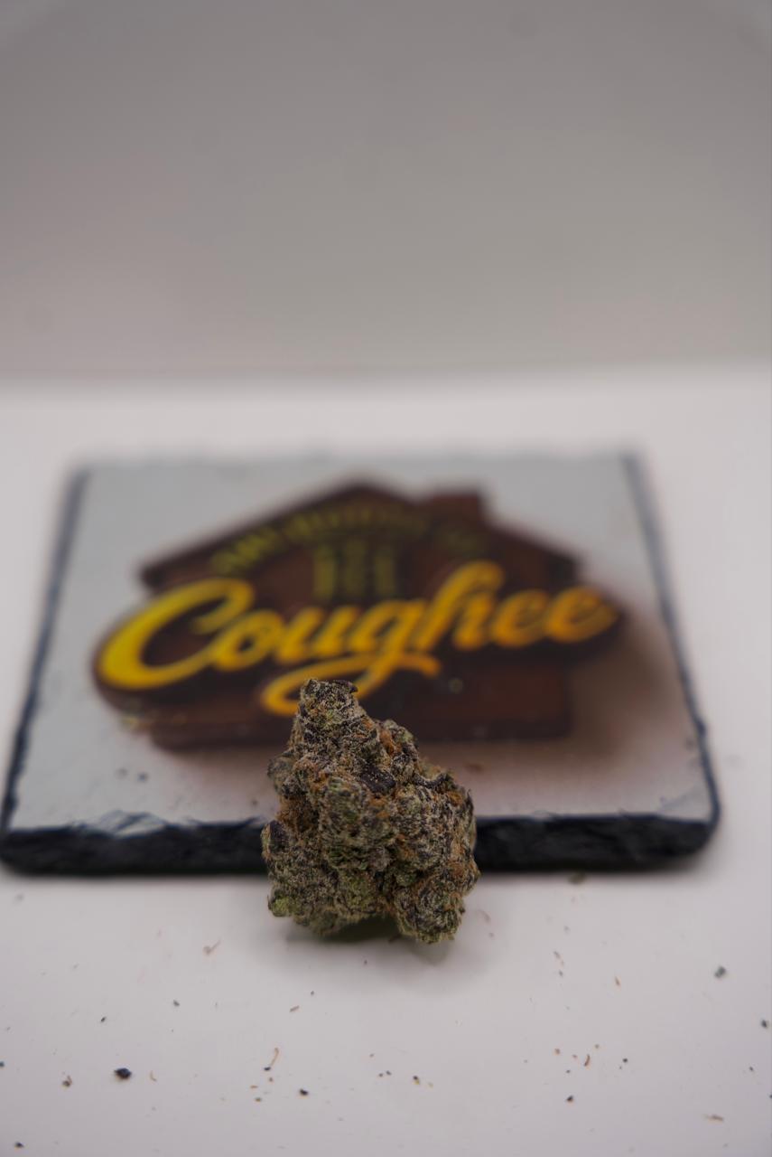 Lemon Cherry Gelato real product photo 1 | The House of Coughee