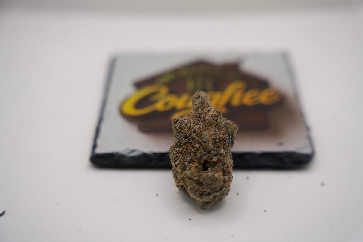 Lilac real product photo 1 | The House of Coughee