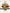 Cereal Milk real product photo 3 | The House of Coughee