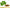 Goldenseal