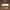 Bacio Pre-Roll temporary mockup | The House of Coughee
