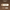 Garlic Breath Pre-Roll temporary mockup | The House of Coughee