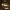 Mocha Machiatto Top Shelf pre-roll tube mockup | The House of Coughee