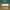 Vanilla Wafer Pre-Roll temporary mockup | The House of Coughee